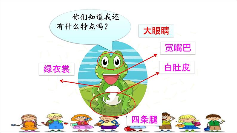 人教部编版语文一年级下册《识字(一)——小青蛙》课件3第3页