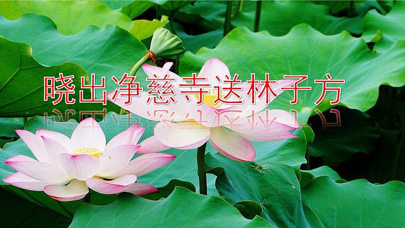 15《古诗二首》(课件+教案+音视频素材+练习)02
