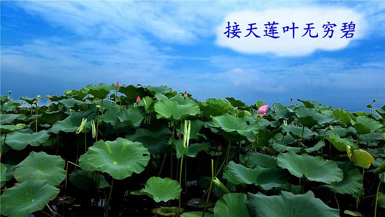 15《古诗二首》(课件+教案+音视频素材+练习)07