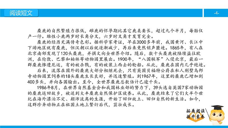 六年级课外阅读:麋鹿(下)课件PPT第4页