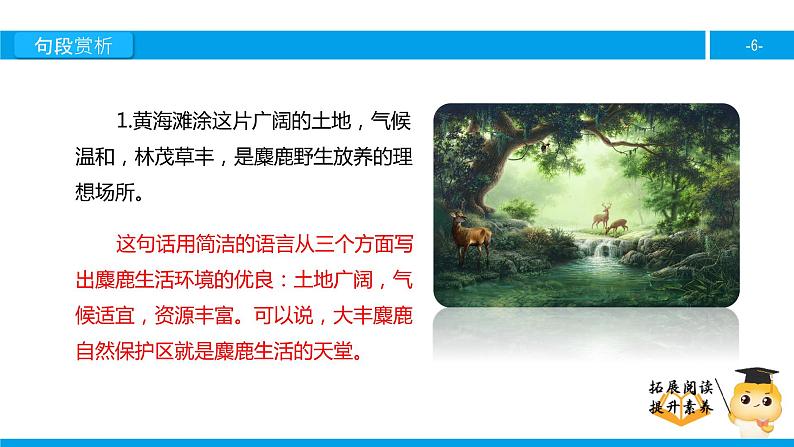 六年级课外阅读:麋鹿(下)课件PPT第6页