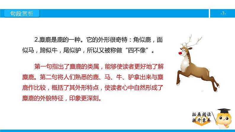 六年级课外阅读:麋鹿(下)课件PPT第7页