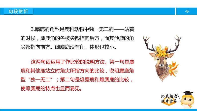 六年级课外阅读:麋鹿(下)课件PPT第8页