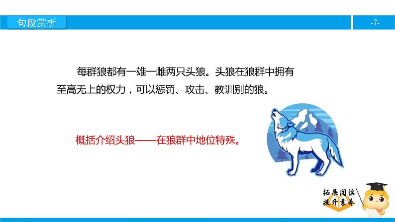 五年级【专项训练】课外阅读:狼群 (下)课件PPT第7页