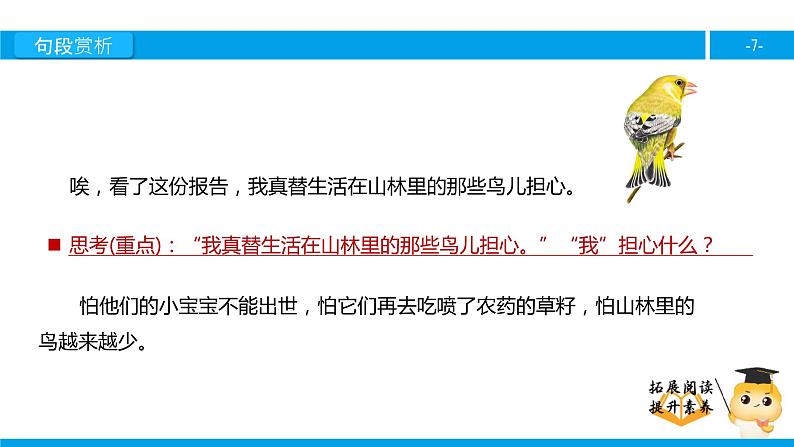 五年级【专项训练】课外阅读:鸟儿的侦查报告(下)课件PPT第7页