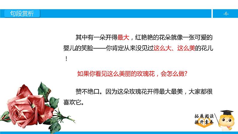 三年级【专项训练】课外阅读:永不凋谢的玫瑰(下)课件PPT06