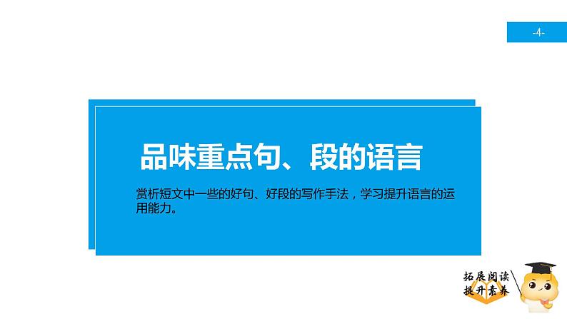 三年级【专项训练】课外阅读:最美的花束(下)课件PPT04