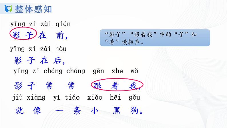 人教部编版语文一上《影子》 课件PPT+教案+练习08