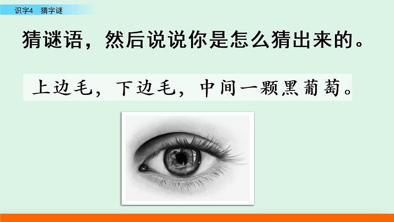 2021年小学语文人教部编版(五四制)一年级下册 识字(一) 识字4 猜字谜 课件01