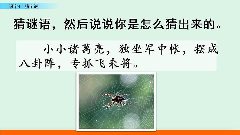 2021年小学语文人教部编版(五四制)一年级下册 识字(一) 识字4 猜字谜 课件03