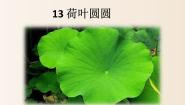 人教部编版 (五四制)一年级下册13 荷叶圆圆课文课件ppt