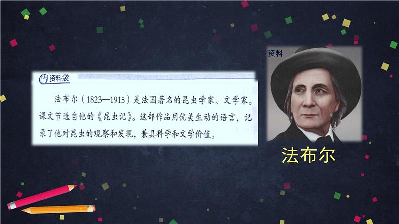 三年级语文(统编版)-蜜蜂-2课件第3页