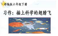 小学语文人教部编版六年级下册习作:插上科学的翅膀课文内容ppt课件