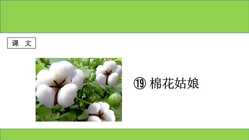部编版语文一年级下册-08课文(六)-01棉花姑娘-课件02第1页