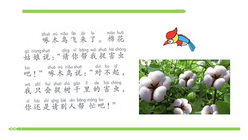 部编版语文一年级下册-08课文(六)-01棉花姑娘-课件02第4页