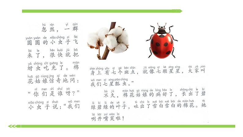 部编版语文一年级下册-08课文(六)-01棉花姑娘-课件02第6页