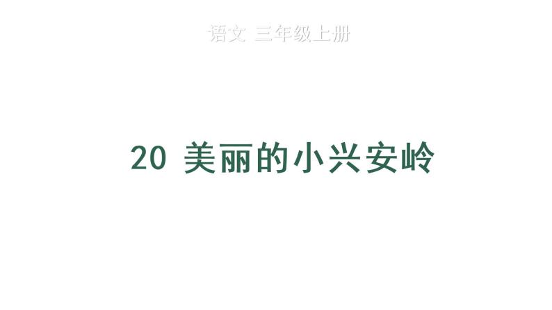 20 美丽的小兴安岭课件PPT01