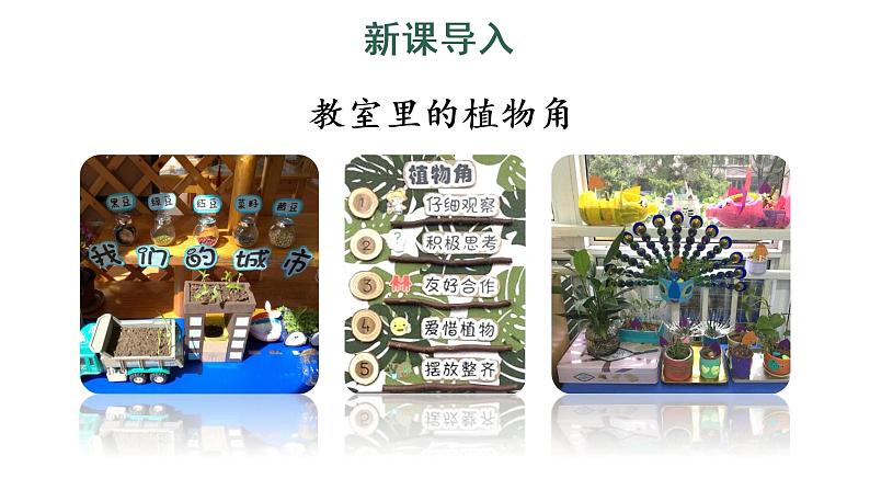 习作:我有一个想法课件PPT04
