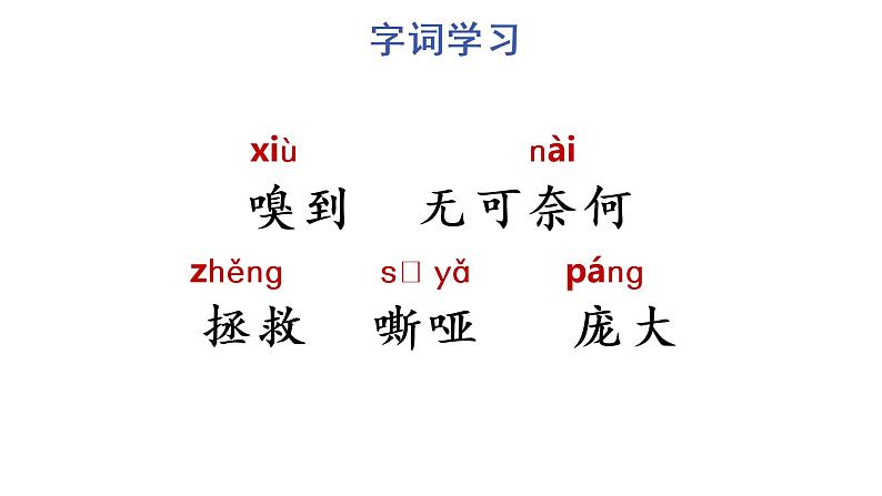 16 麻雀课件PPT05
