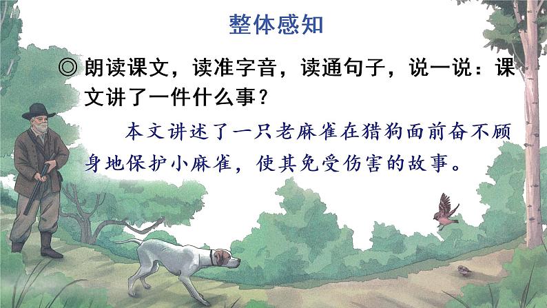 16 麻雀课件PPT08