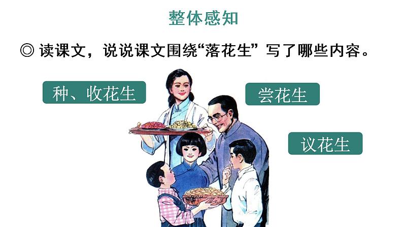 2 落花生课件PPT08