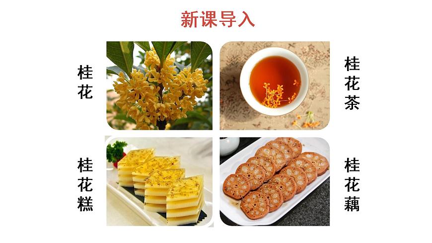 3 桂花雨 教學課件第2頁