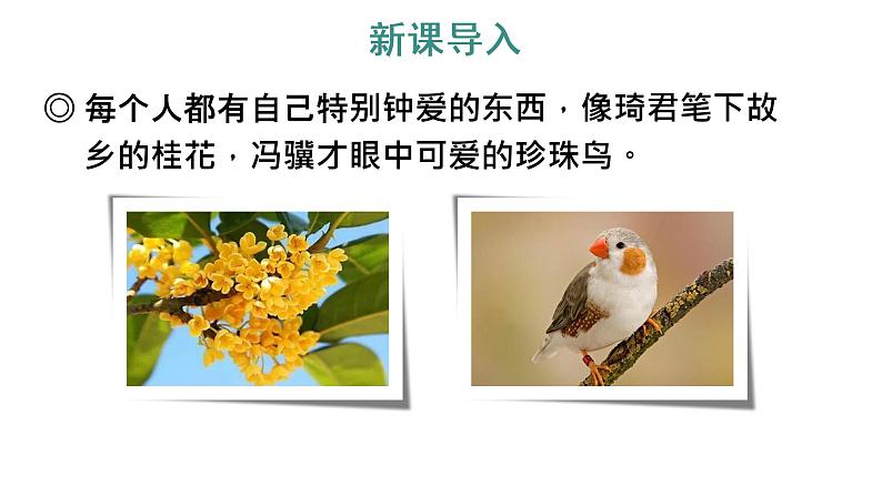 习作:我的心爱之物 教学课件第2页