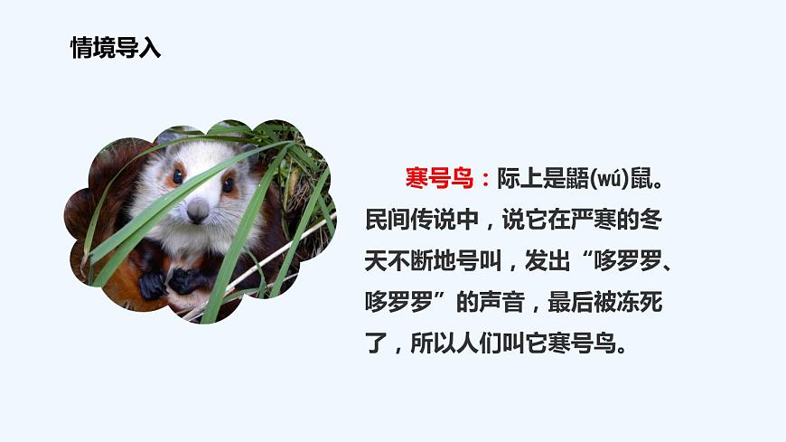 統(tǒng)編版語(yǔ)文二年級(jí)上冊(cè) 13寒號(hào)鳥(niǎo) 課件(15張)第2頁(yè)