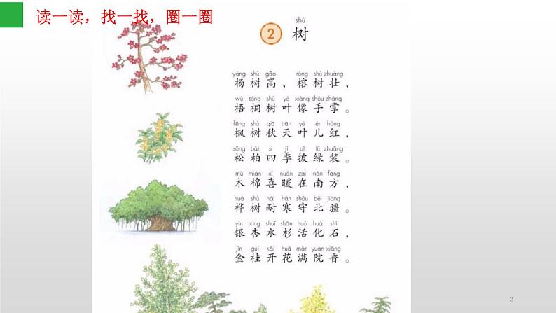 统编版语文二年级上册 2 树之歌(课件)(13张)第3页