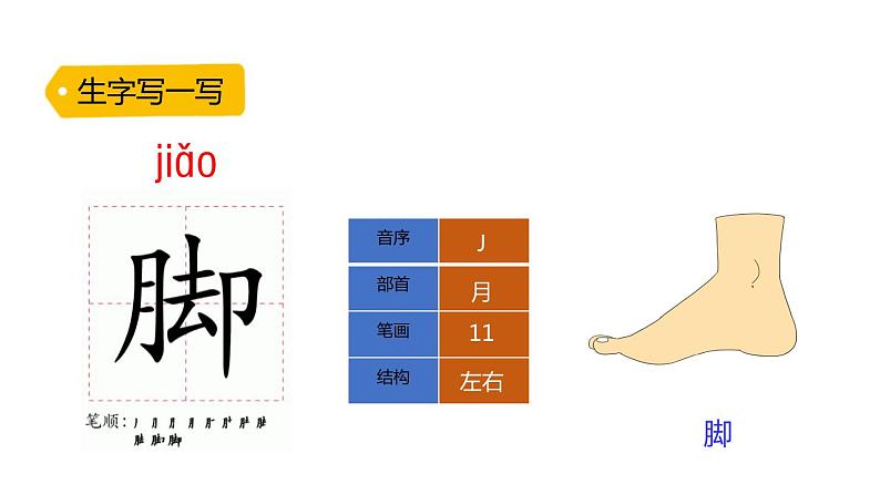 13.寒号鸟课件PPT08