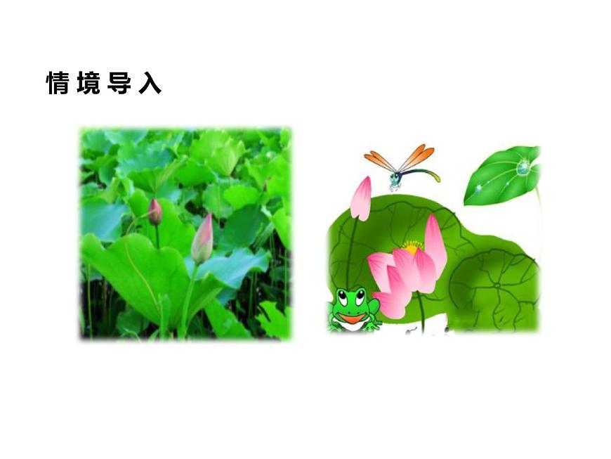 小學(xué)語文1年級(jí)下冊課件課文13 荷葉圓圓第2頁