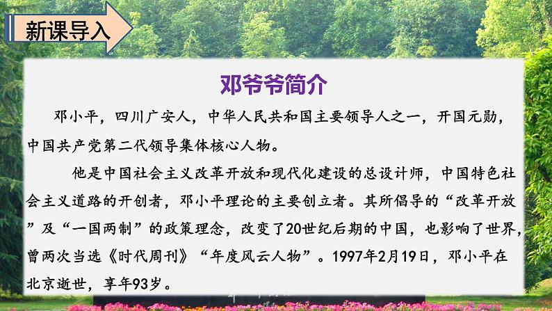 人教版(部编版)语文二年级下册:4邓小平爷爷植树(共51张PPT)第2页