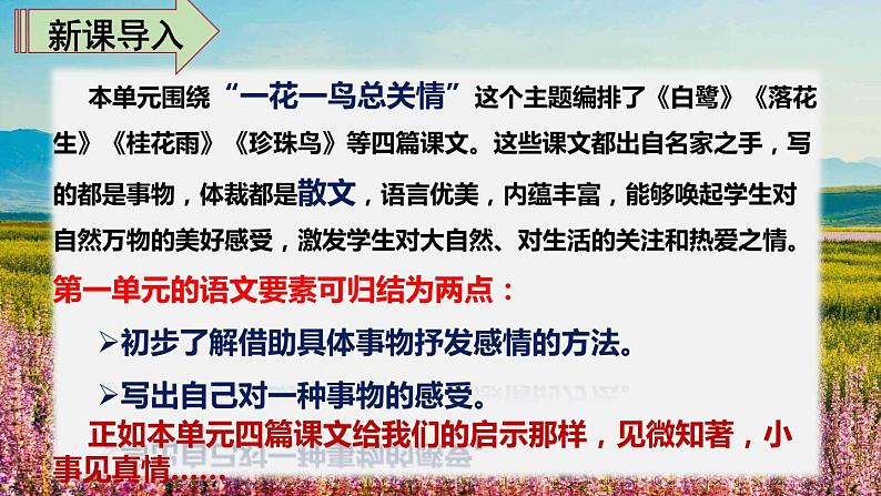 最新人教(部编版)语文五年级上册:语文园地一课件PPT02