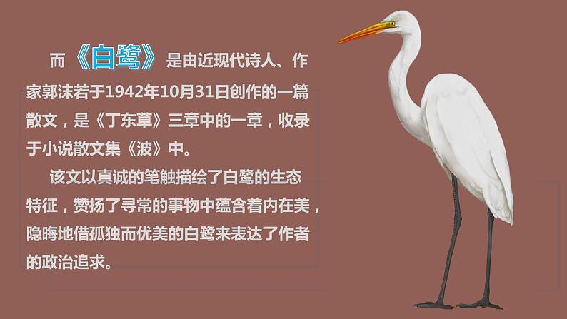 最新人教(部编版)语文五年级上册:1.白鹭课件PPT第3页