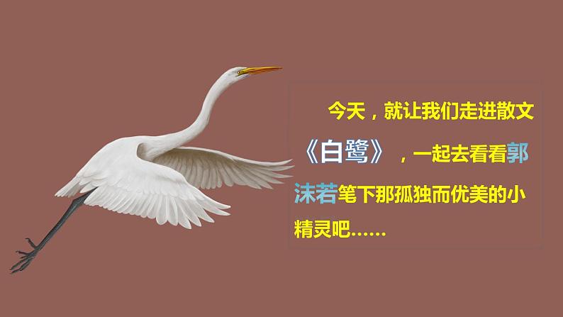最新人教(部编版)语文五年级上册:1.白鹭课件PPT第4页