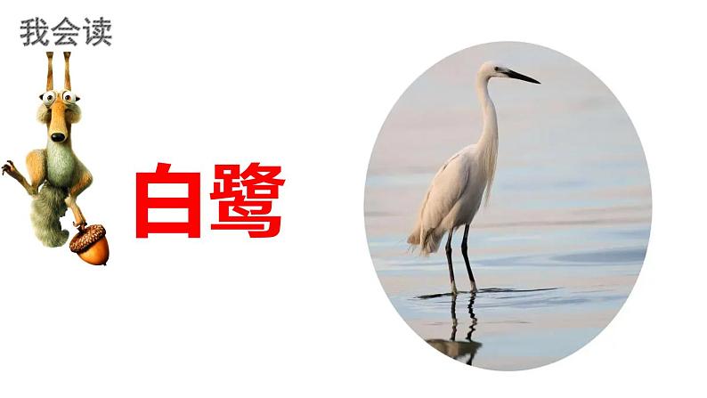 最新人教(部编版)语文五年级上册:1.白鹭课件PPT第8页