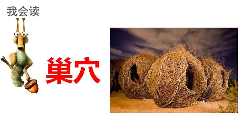 最新人教(部编版)语文五年级上册:4.珍珠鸟课件PPT第8页