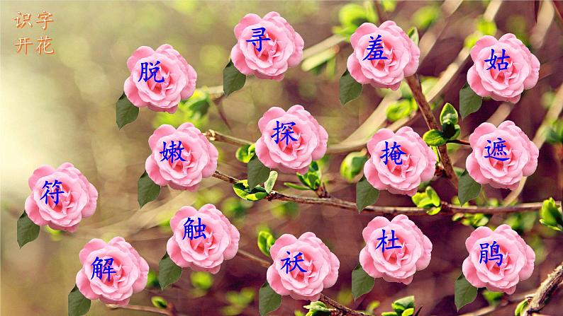 部编版二年级下册语文2 找春天课件PPT07