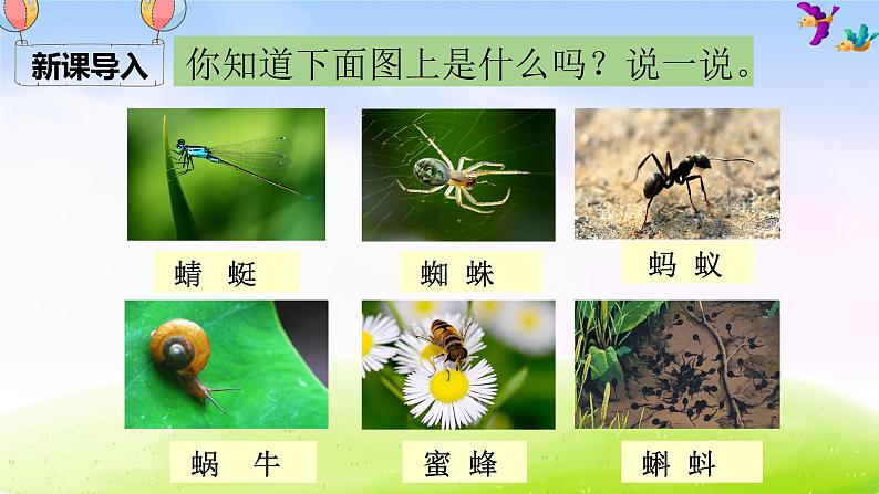 部编一下语文(精品·课堂教学课件)识字5 动物儿歌01