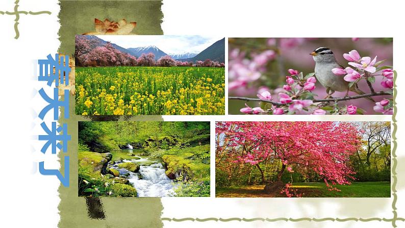 部编版语文二年级下册-01课文(一)-02找春天-课件02第1页