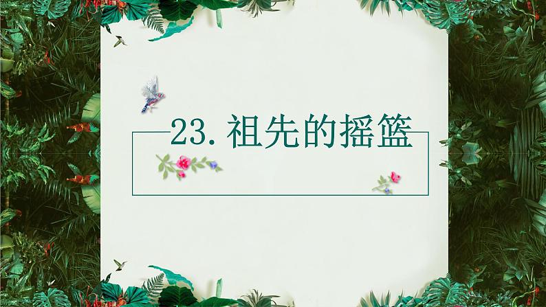 部编版语文二年级下册-08课文(七)-01祖先的摇篮-课件03第1页