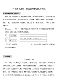 语文六年级下册1 北京的春节测试题