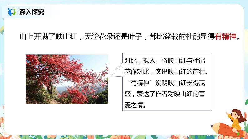 17.记金华的双龙洞(第2课时)课件(送教案+练习)06