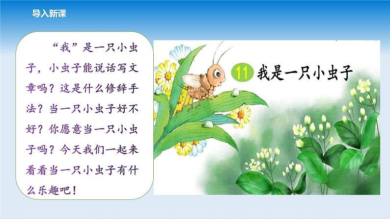 11我是一只小虫子第4页