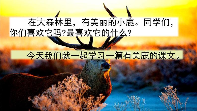 7 鹿角和鹿腿 课件(送教案含反思)01