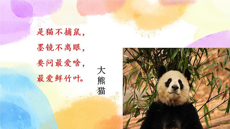 第七单元 习作 国宝大熊猫 课件(送教案含反思)02