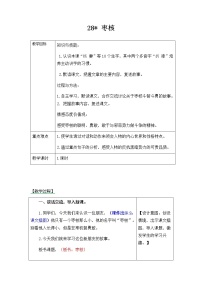 小学语文人教部编版三年级下册28* 枣核公开课教案