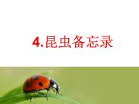 小学语文人教部编版三年级下册4* 昆虫备忘录优秀ppt课件