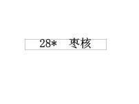 小学语文人教部编版三年级下册28* 枣核优秀ppt课件