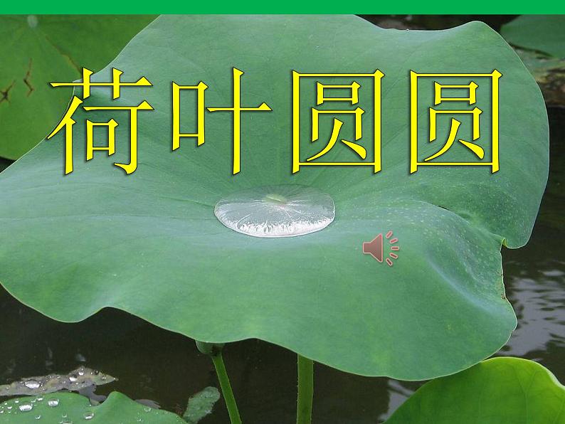 部编版一年级语文下册第13课《荷叶圆圆》ppt课件完美版第8页